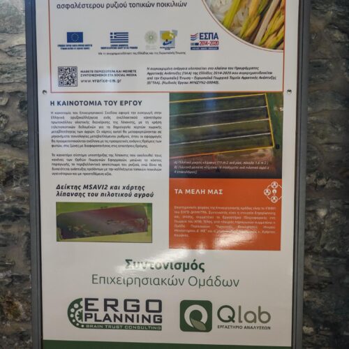 project_stand_4